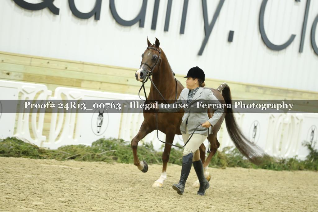Proof 24R13_00763