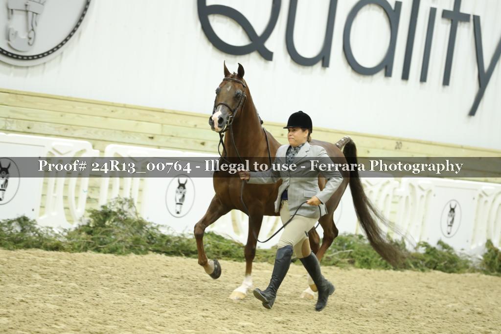 Proof 24R13_00764