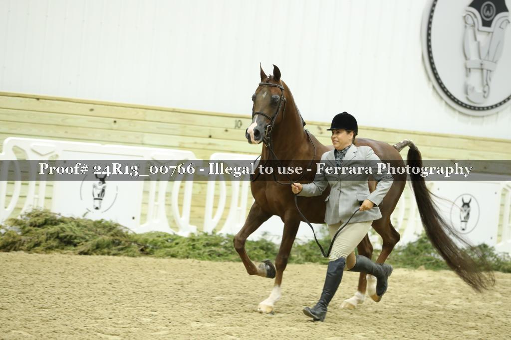Proof 24R13_00766