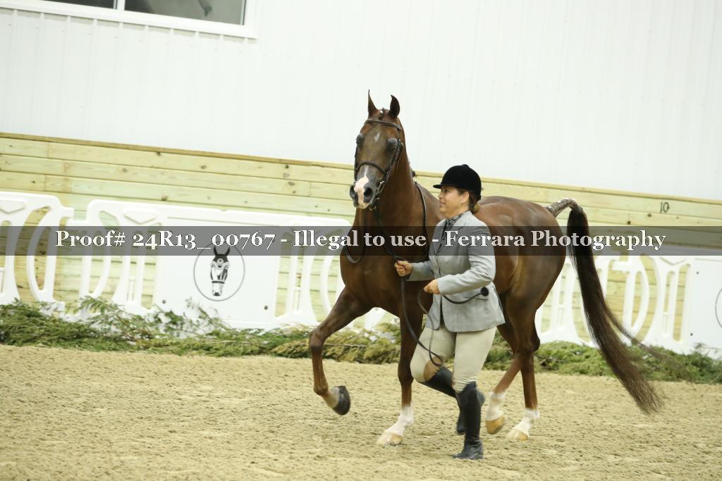 Proof 24R13_00767