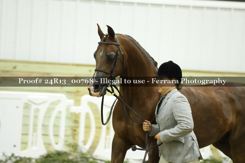 Proof 24R13_00768