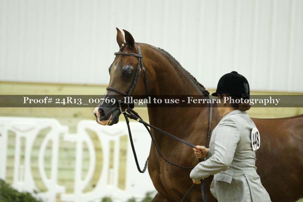 Proof 24R13_00769