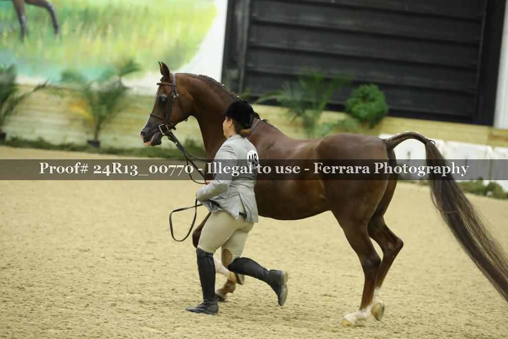 Proof 24R13_00770