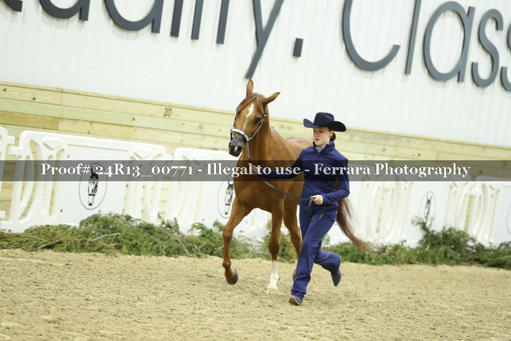 Proof 24R13_00771