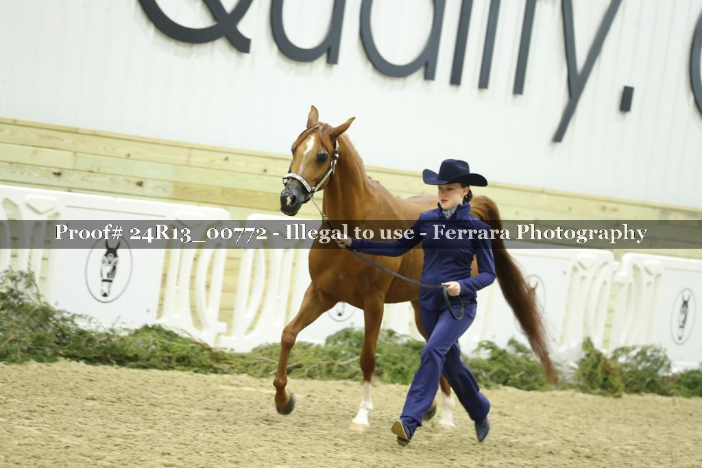 Proof 24R13_00772