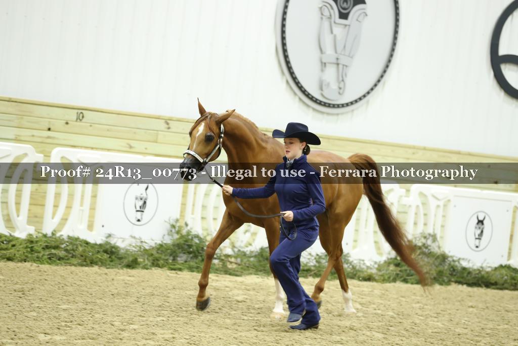 Proof 24R13_00773