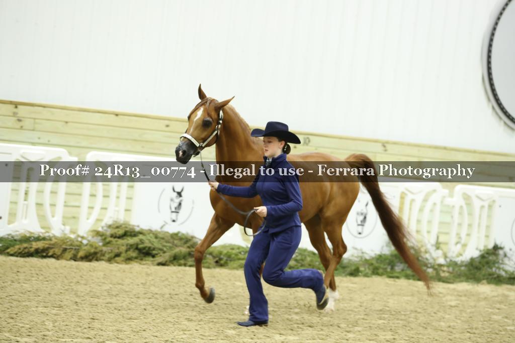 Proof 24R13_00774