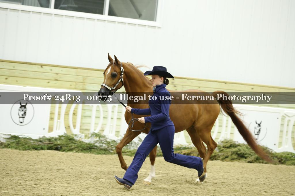 Proof 24R13_00775