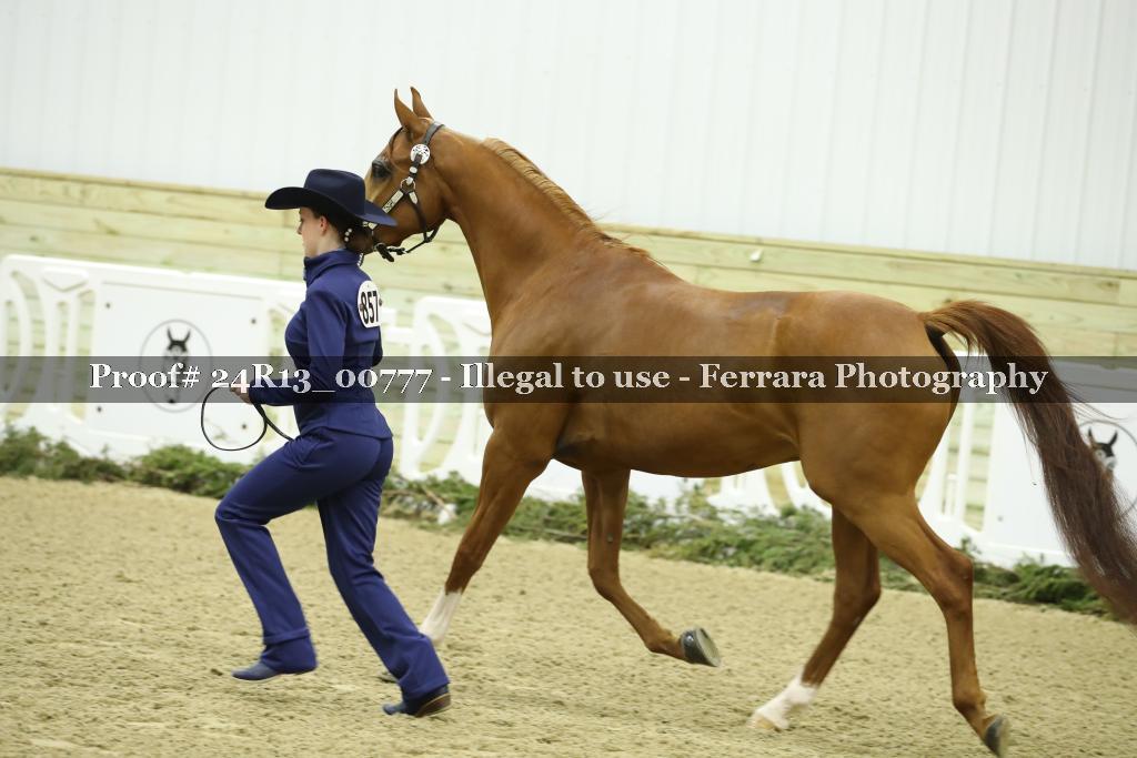 Proof 24R13_00777