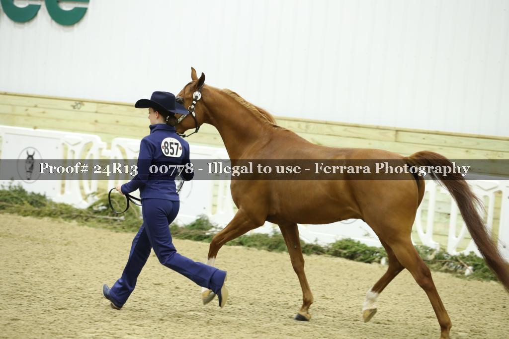 Proof 24R13_00778