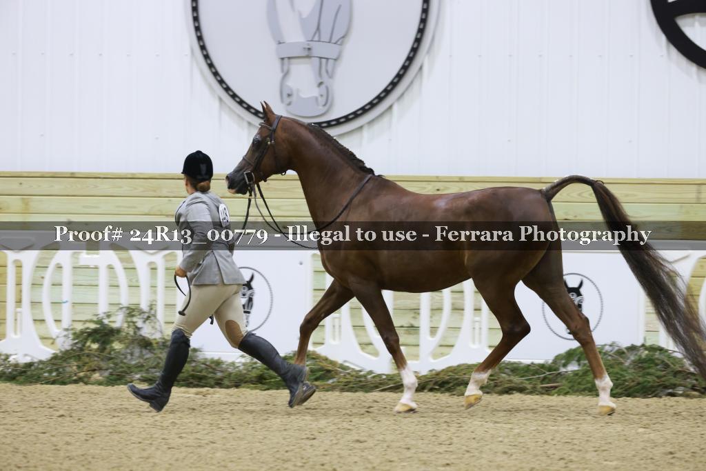 Proof 24R13_00779