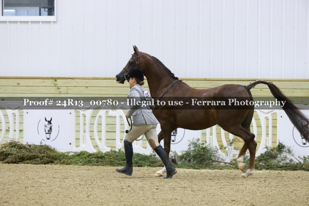 Proof 24R13_00780