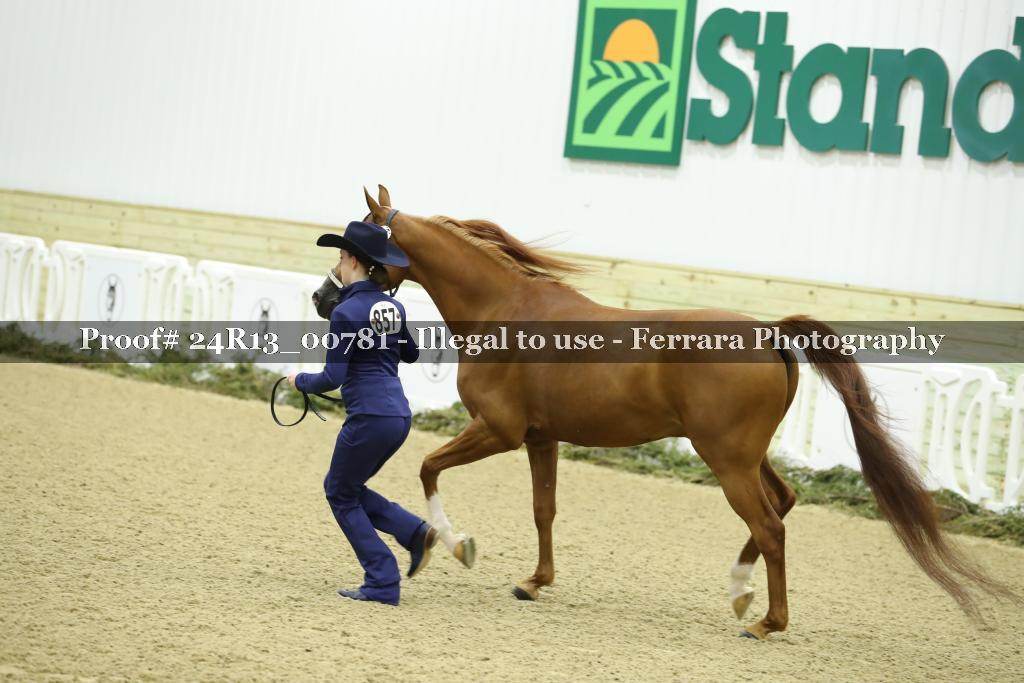 Proof 24R13_00781