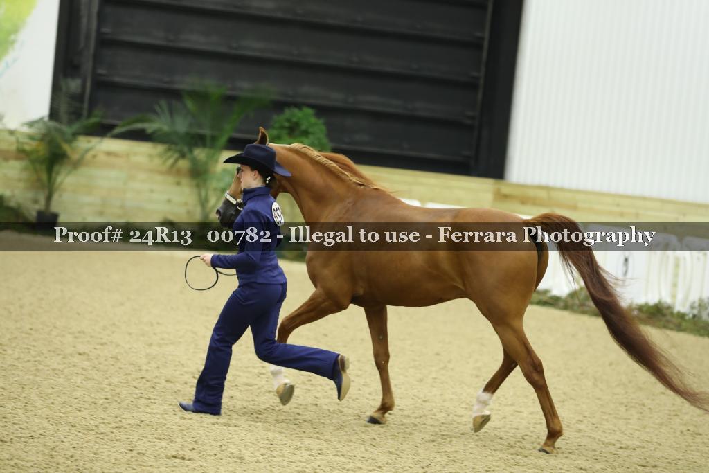 Proof 24R13_00782