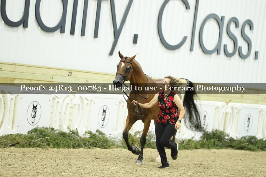 Proof 24R13_00783