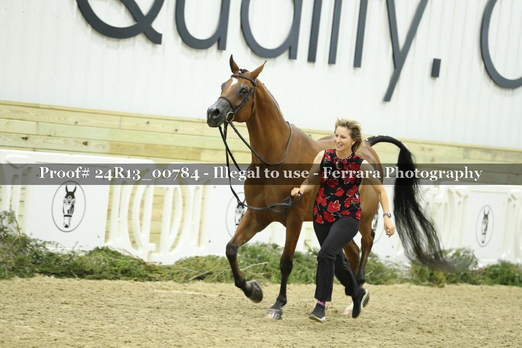 Proof 24R13_00784