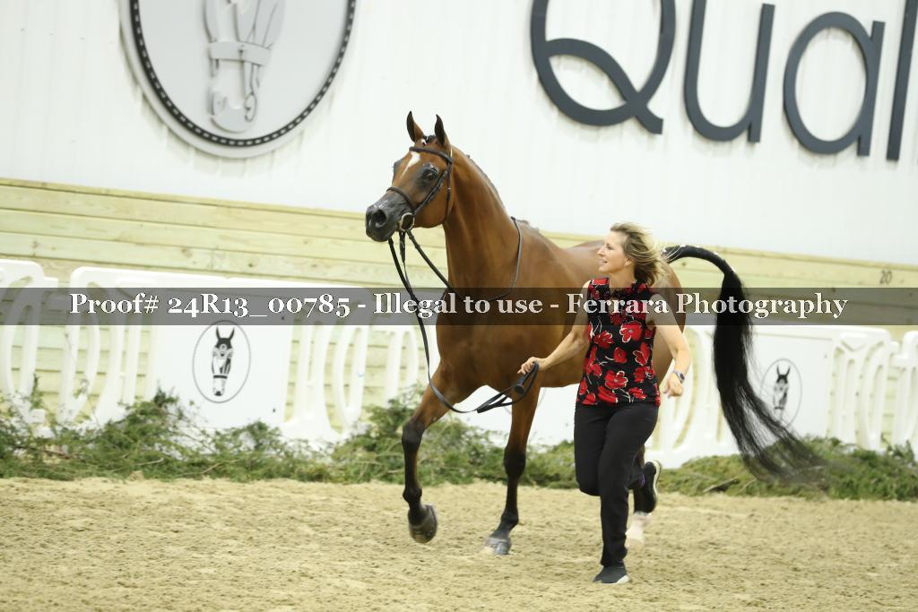 Proof 24R13_00785