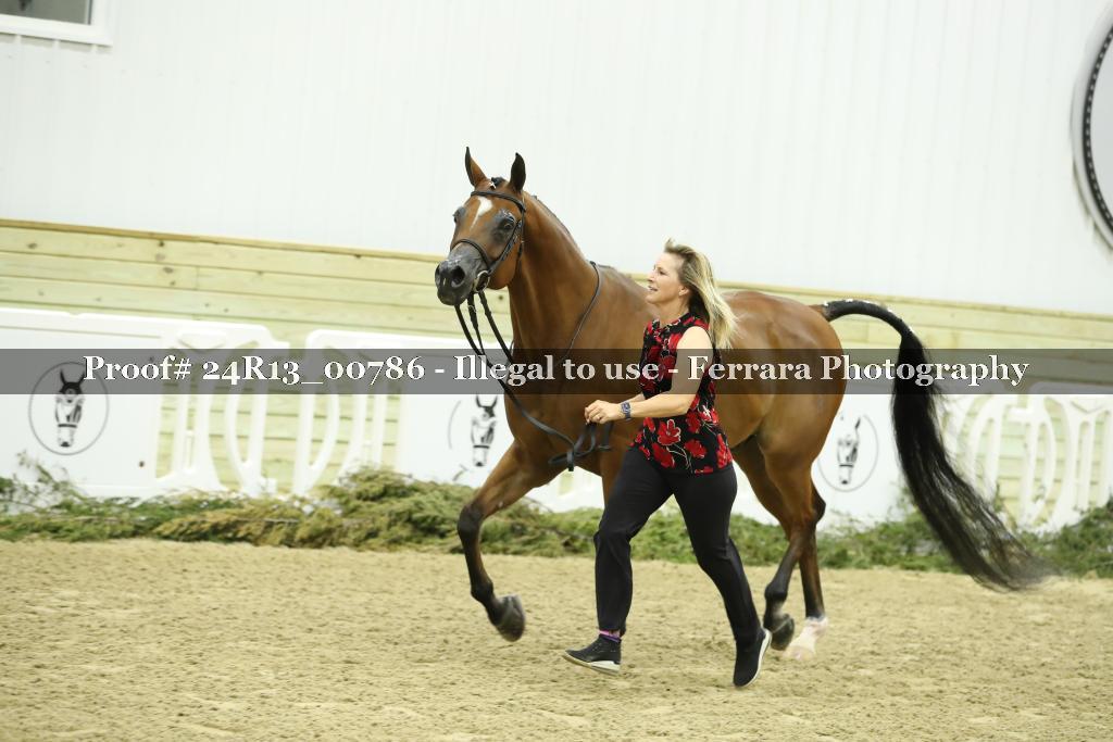 Proof 24R13_00786