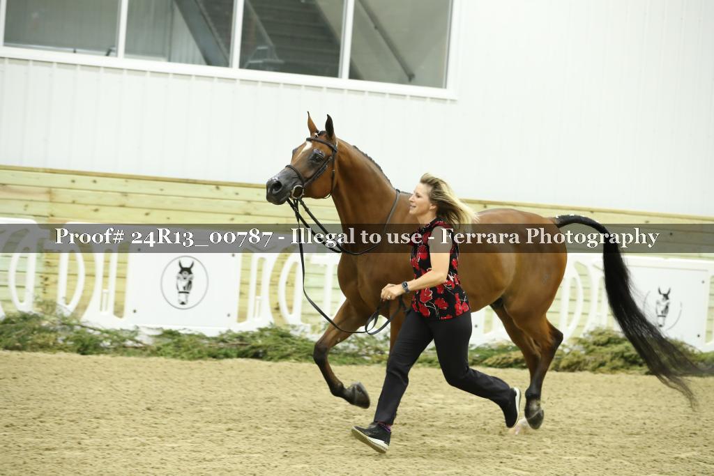 Proof 24R13_00787