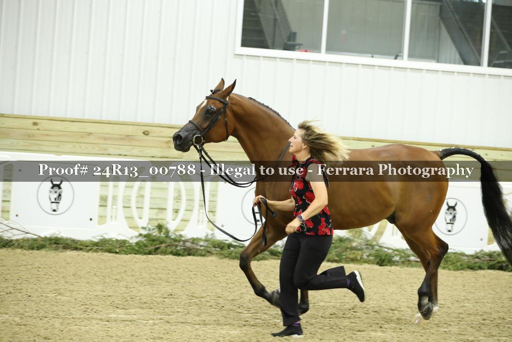 Proof 24R13_00788