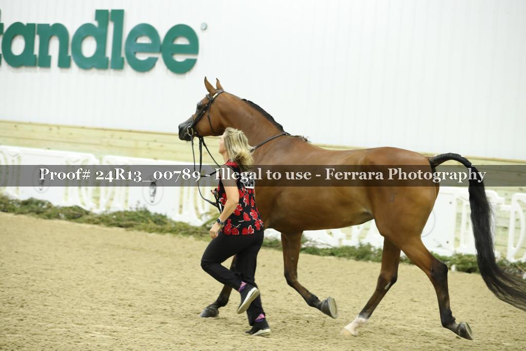 Proof 24R13_00789