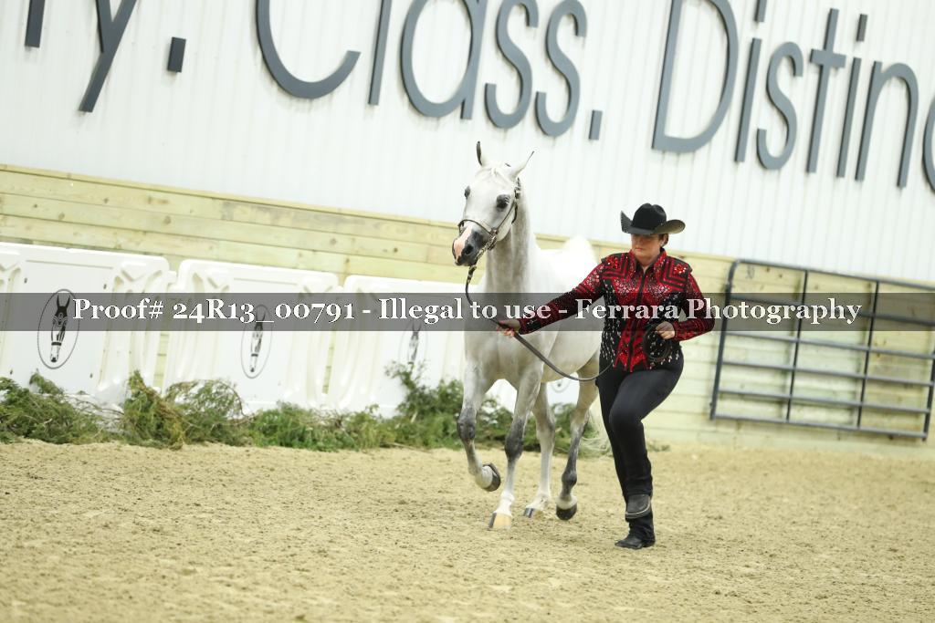 Proof 24R13_00791