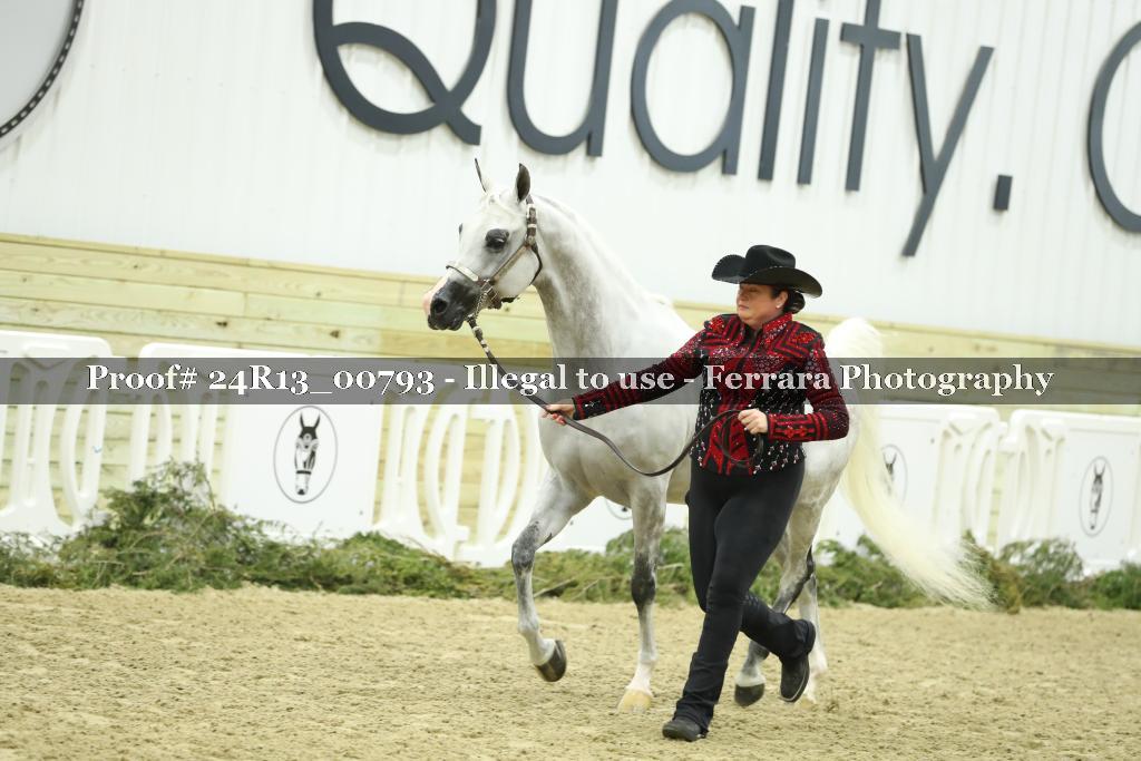 Proof 24R13_00793