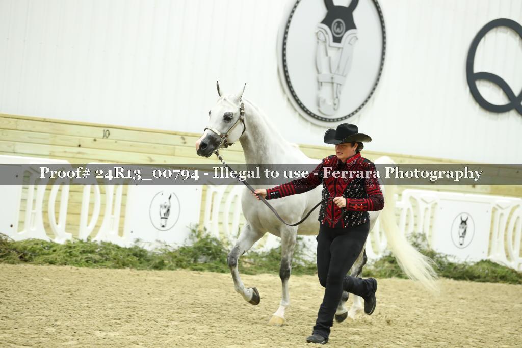 Proof 24R13_00794