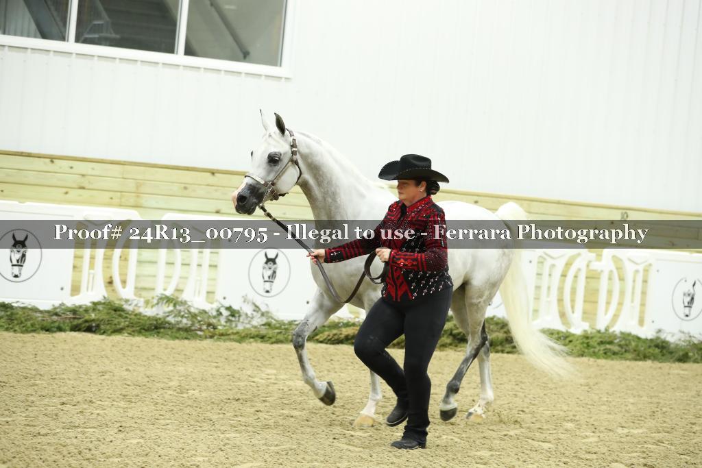 Proof 24R13_00795