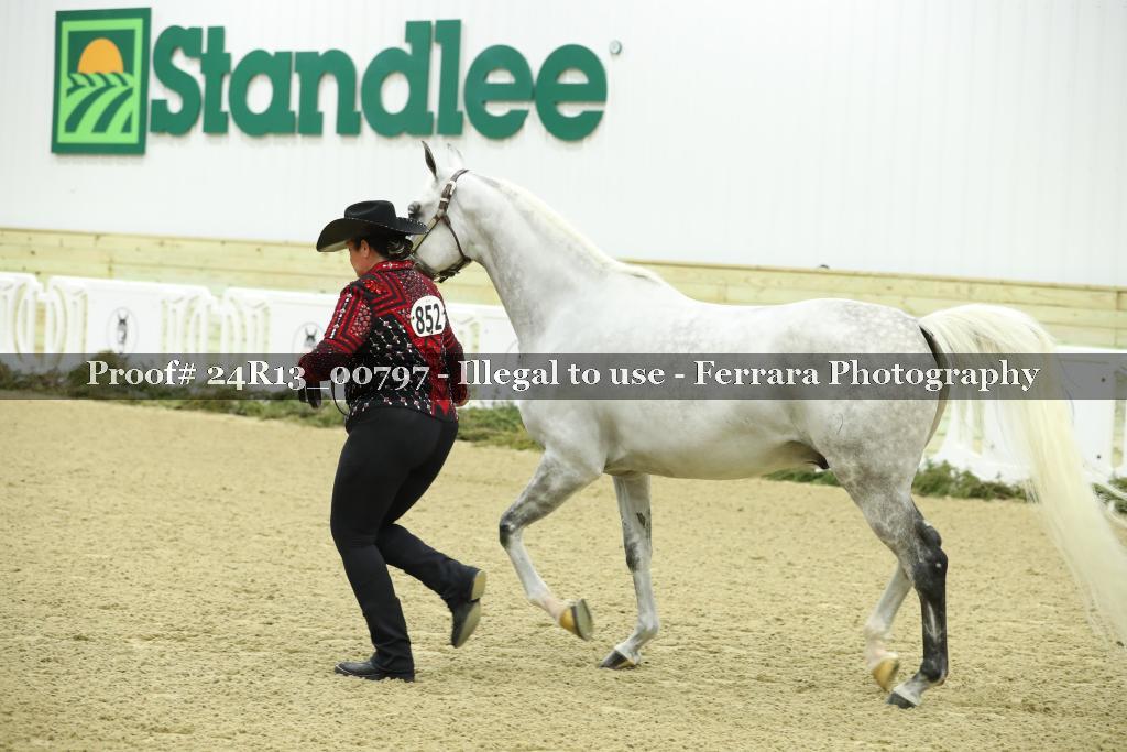 Proof 24R13_00797