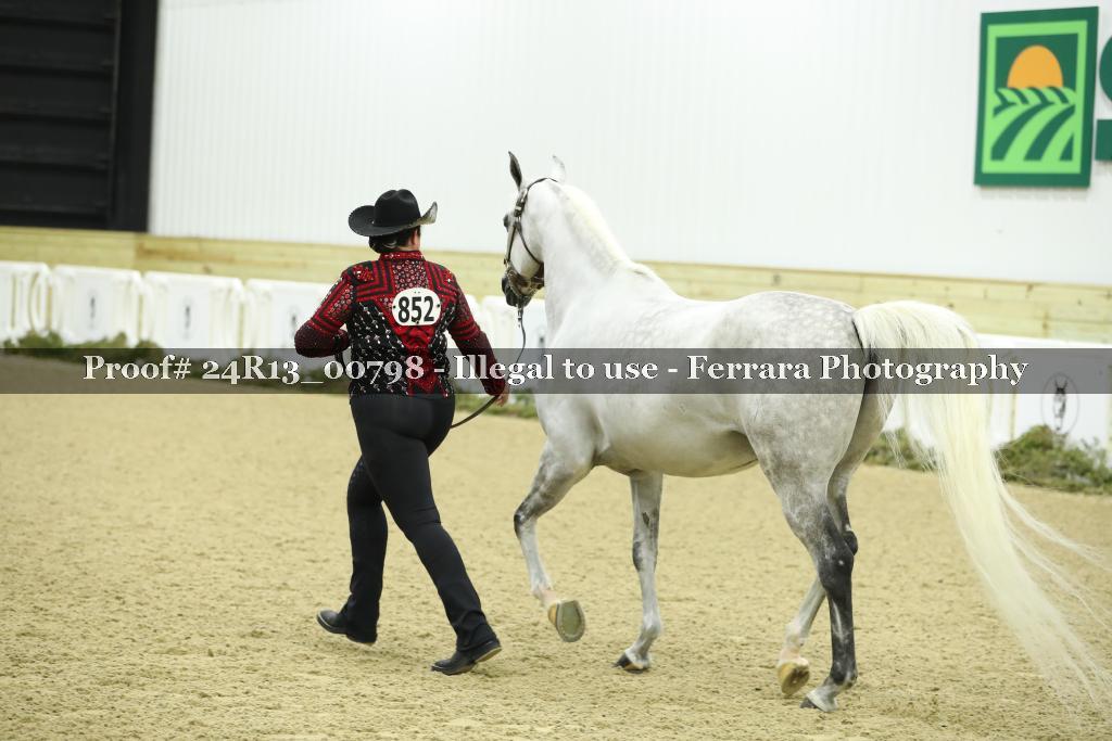 Proof 24R13_00798
