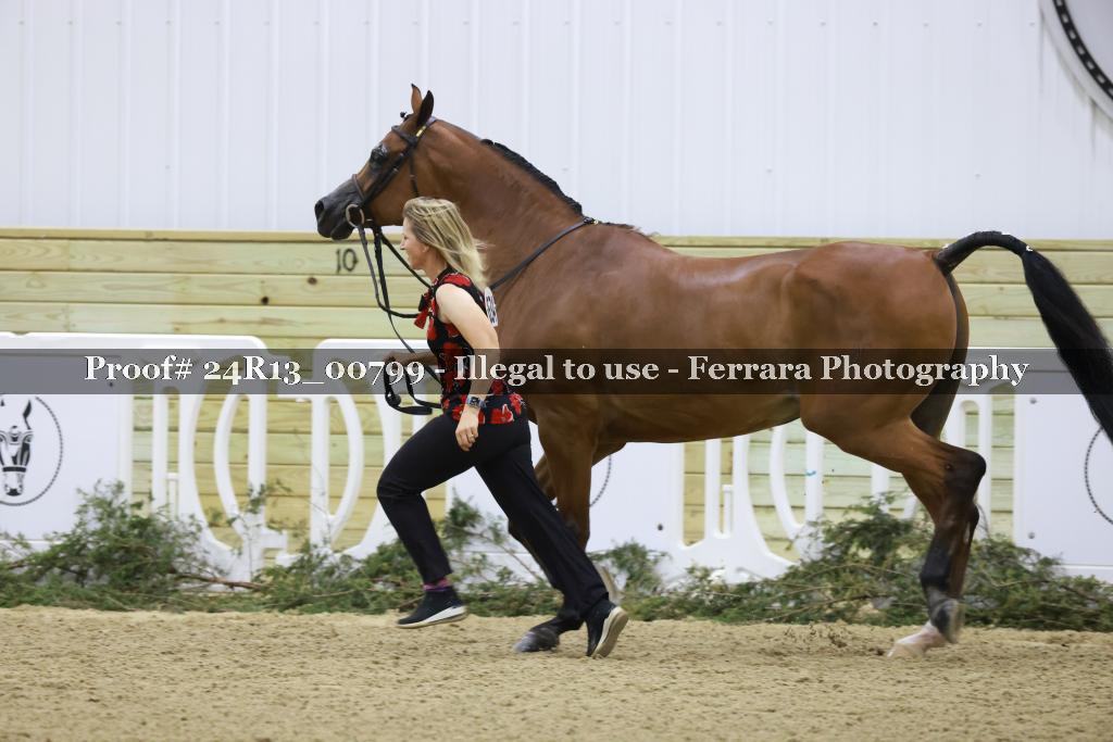 Proof 24R13_00799