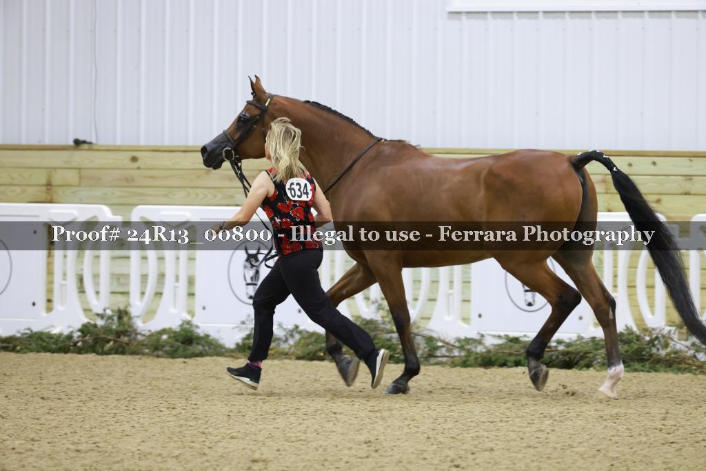 Proof 24R13_00800