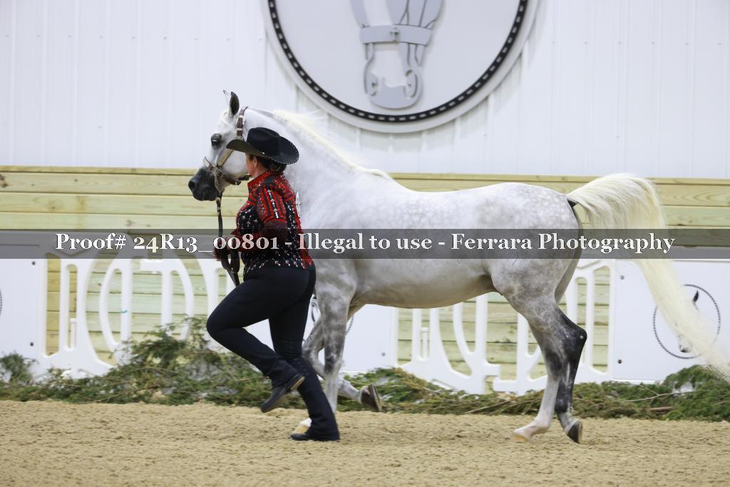 Proof 24R13_00801