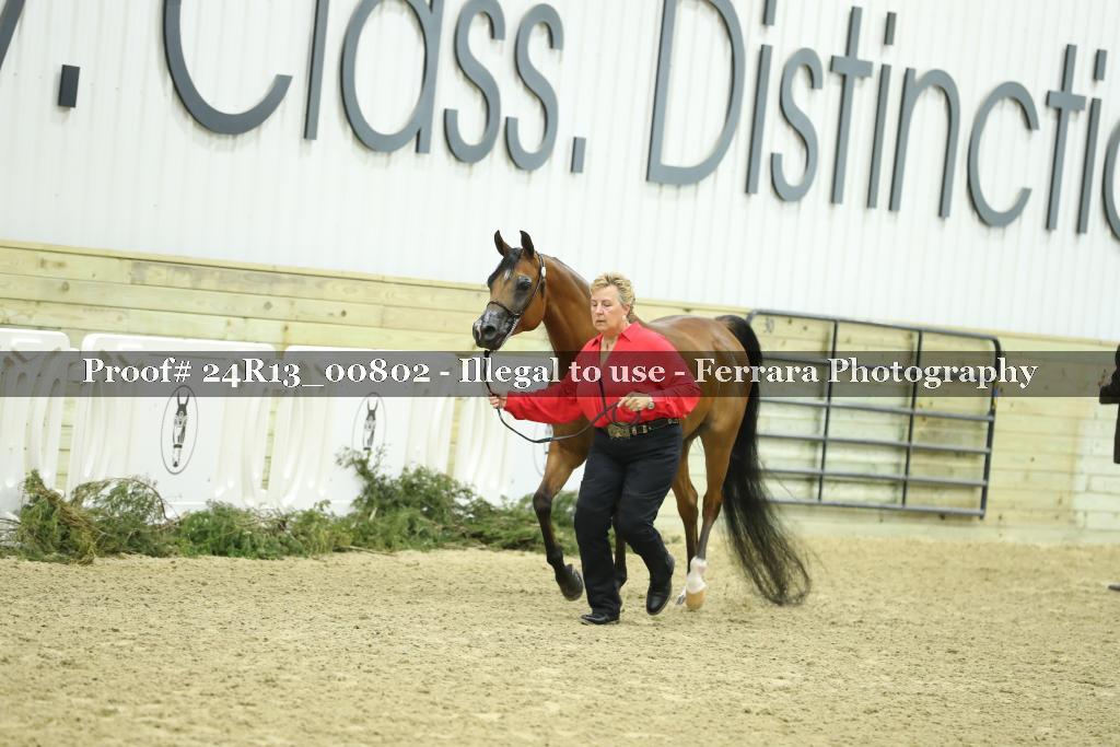 Proof 24R13_00802