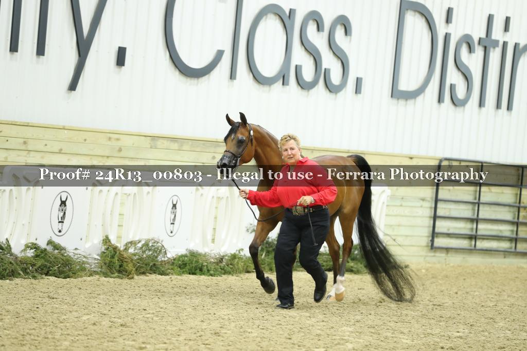 Proof 24R13_00803