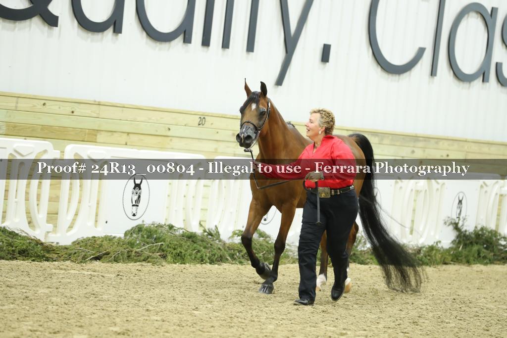 Proof 24R13_00804
