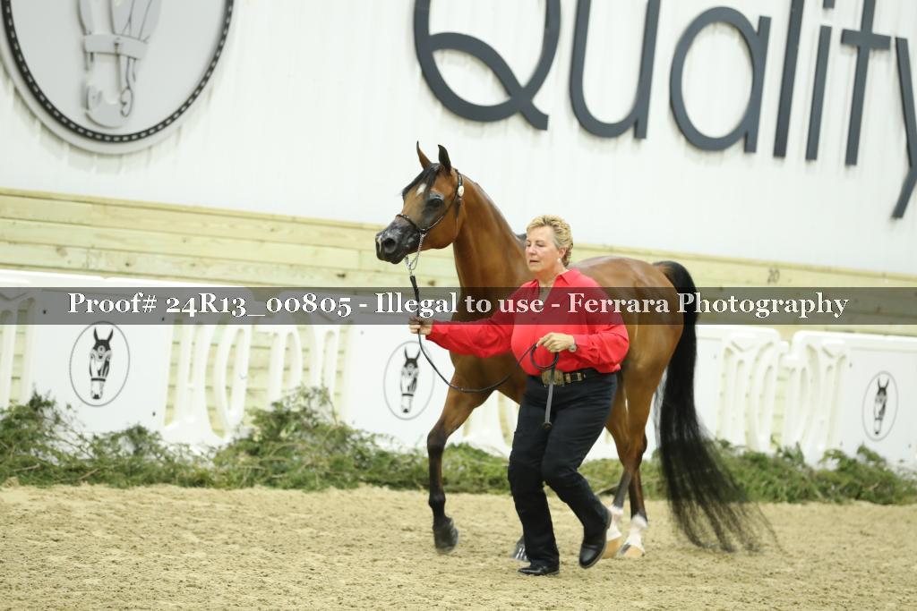 Proof 24R13_00805