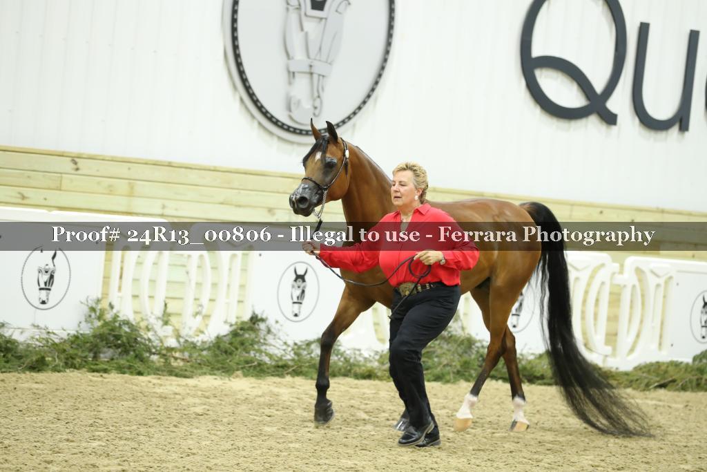 Proof 24R13_00806