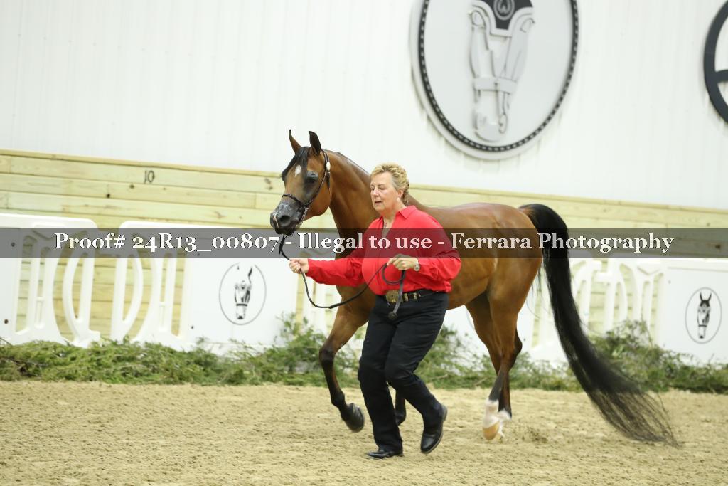 Proof 24R13_00807