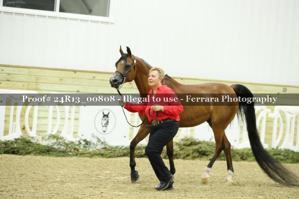 Proof 24R13_00808