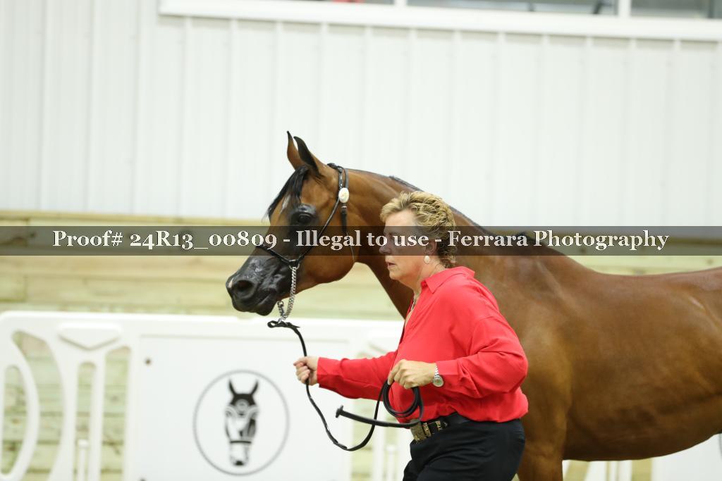Proof 24R13_00809