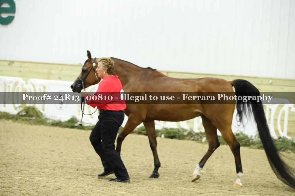 Proof 24R13_00810