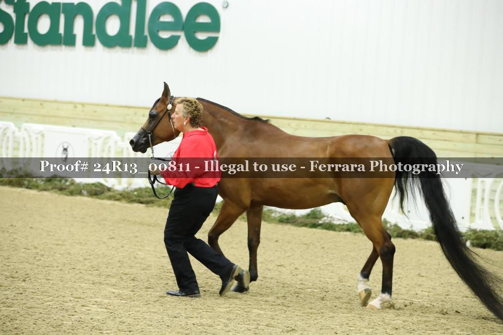 Proof 24R13_00811