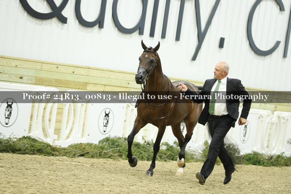 Proof 24R13_00813