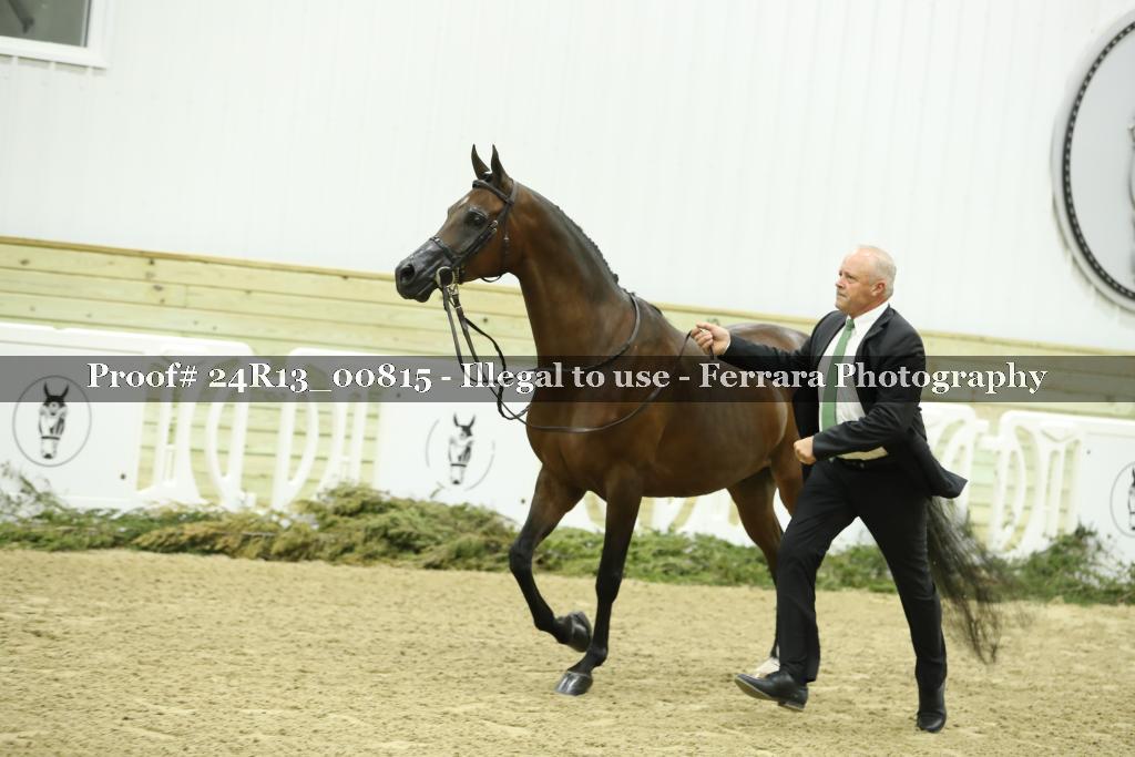 Proof 24R13_00815