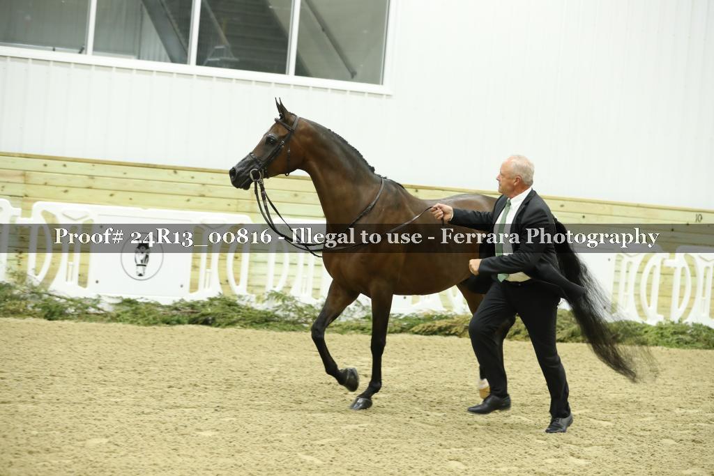 Proof 24R13_00816
