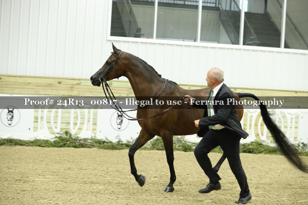 Proof 24R13_00817