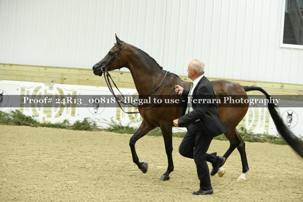 Proof 24R13_00818