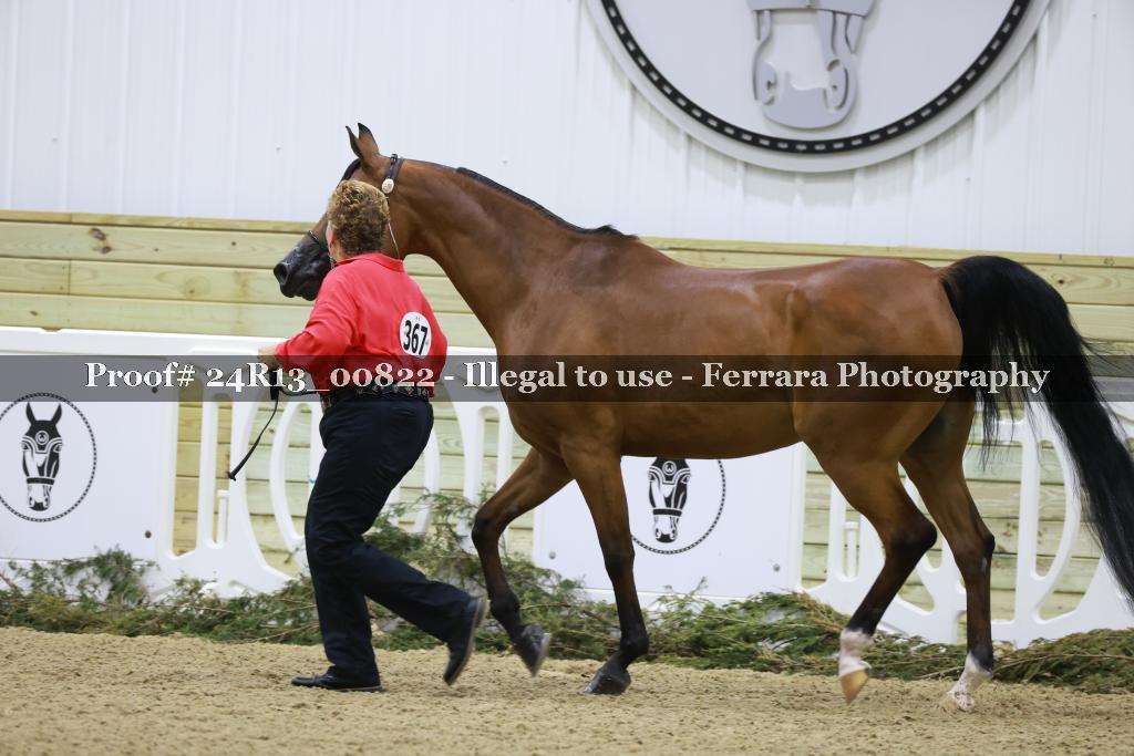 Proof 24R13_00822